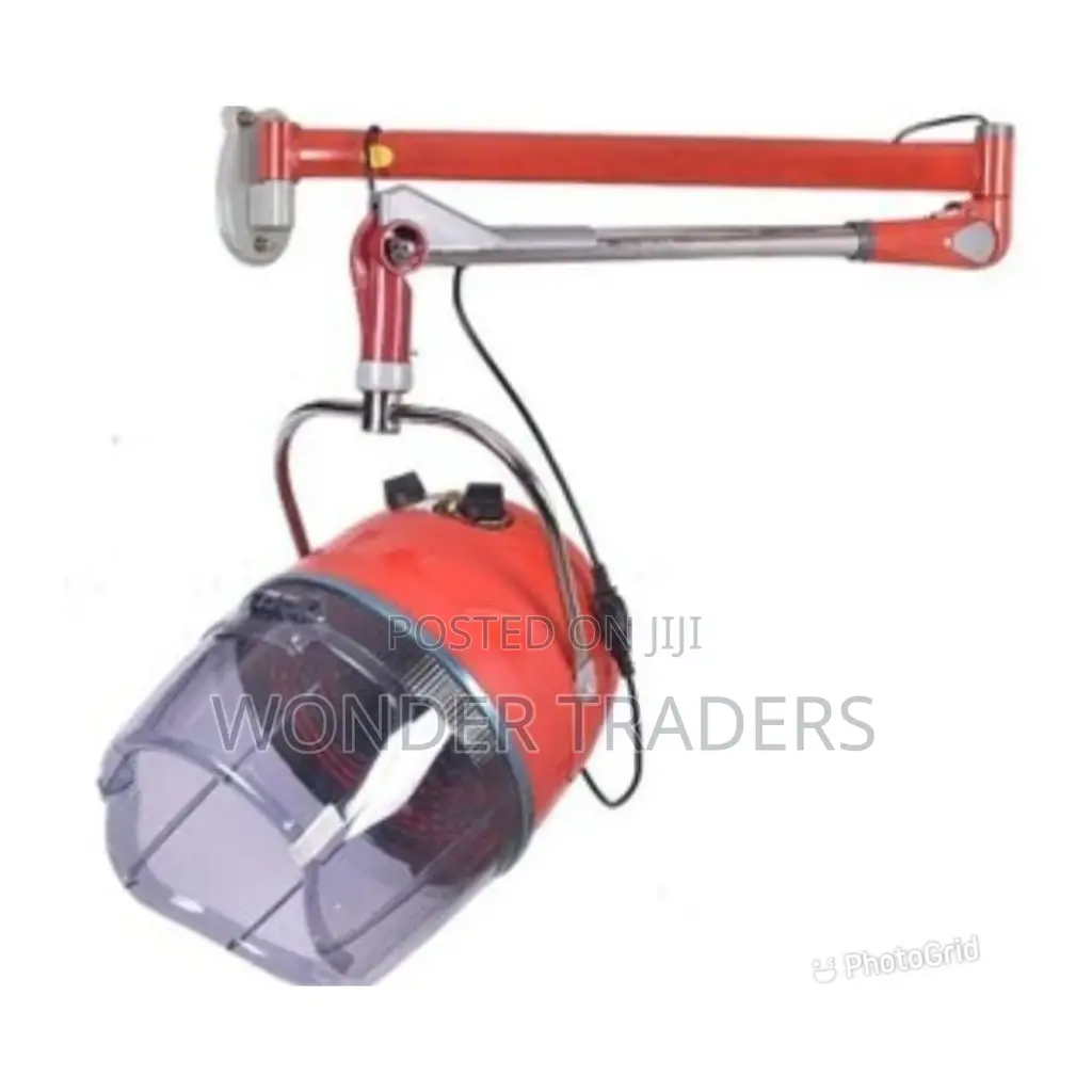 *Wall Mount Equitor Hair Dryer*