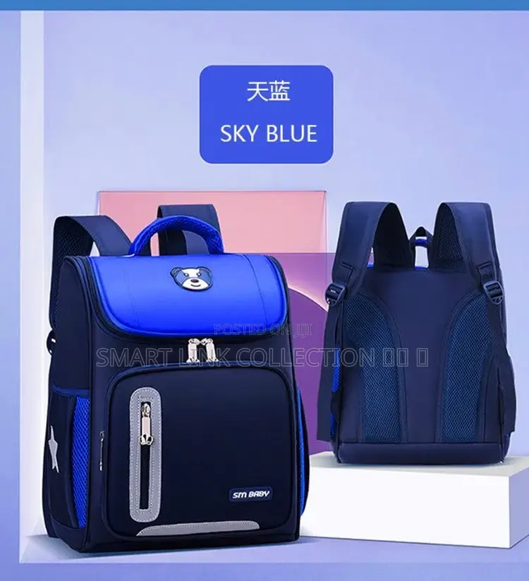 Large Sm Baby School Bag