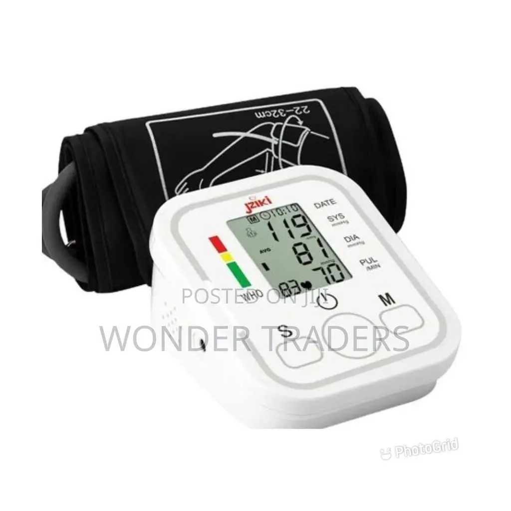 Electronic Blood Pressure Monitor