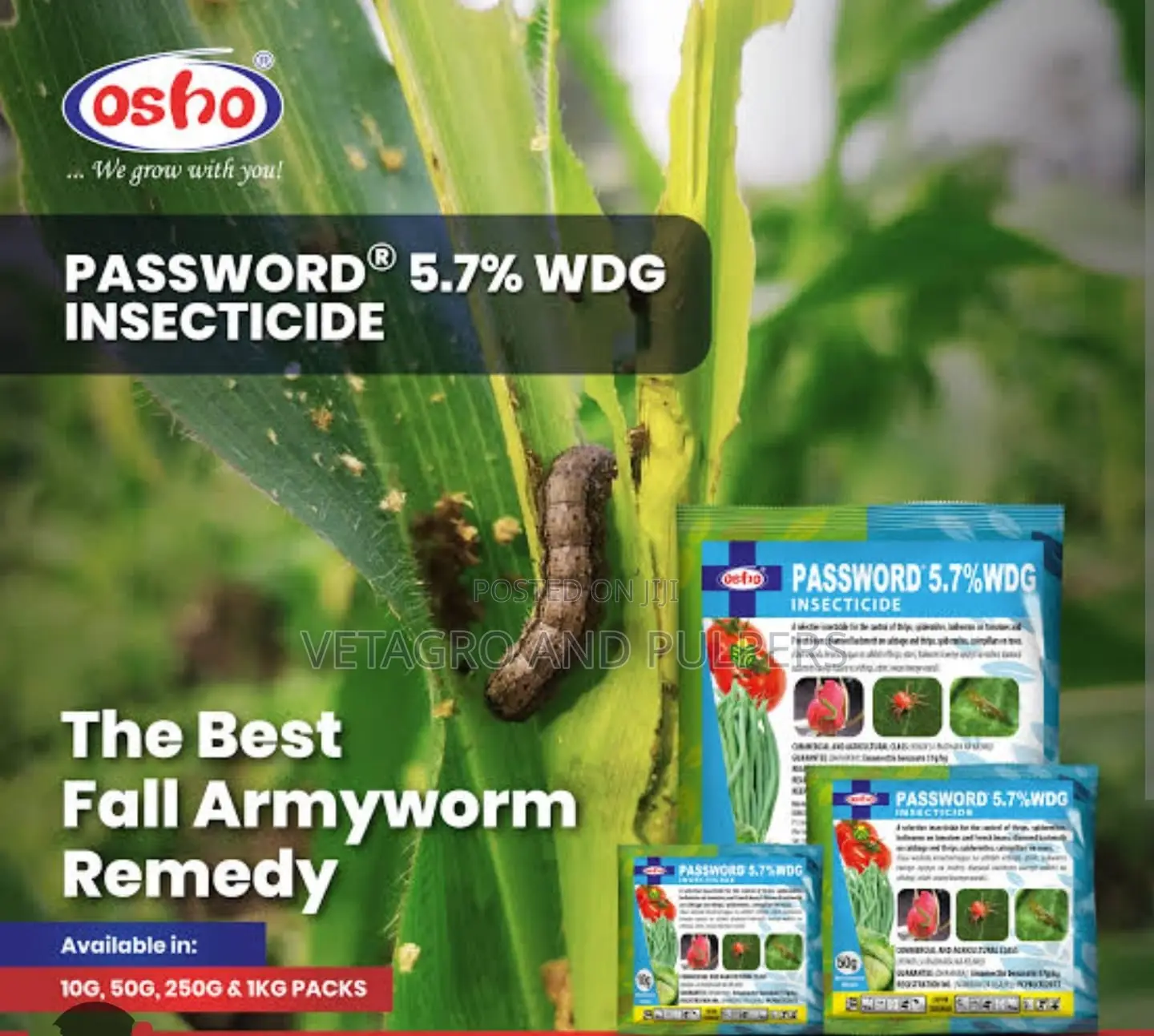 Password 5.7% WDG Insecticide