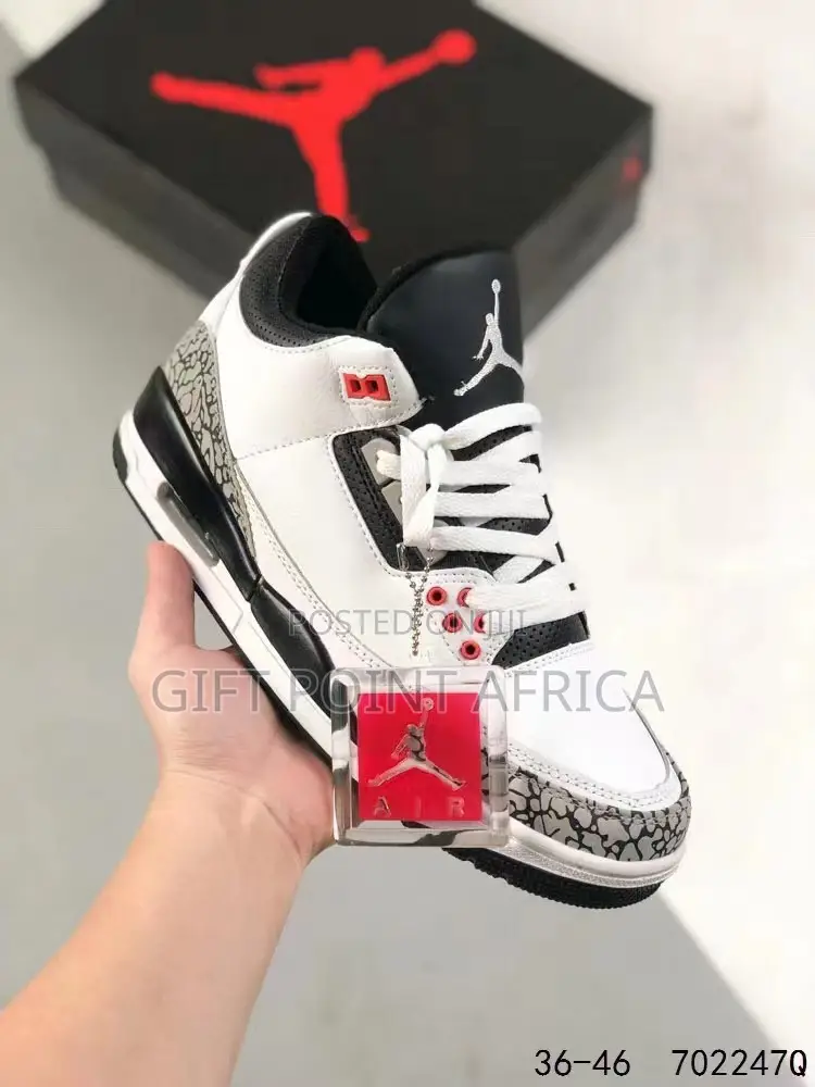 Air Jordan 3 Sneakers for Men