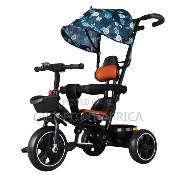 Kids Push Handsome Tricycle With a Shade