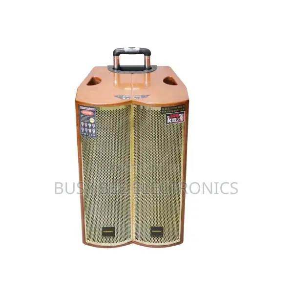 Tumeisheng 15"Rechargeable Powered Speaker