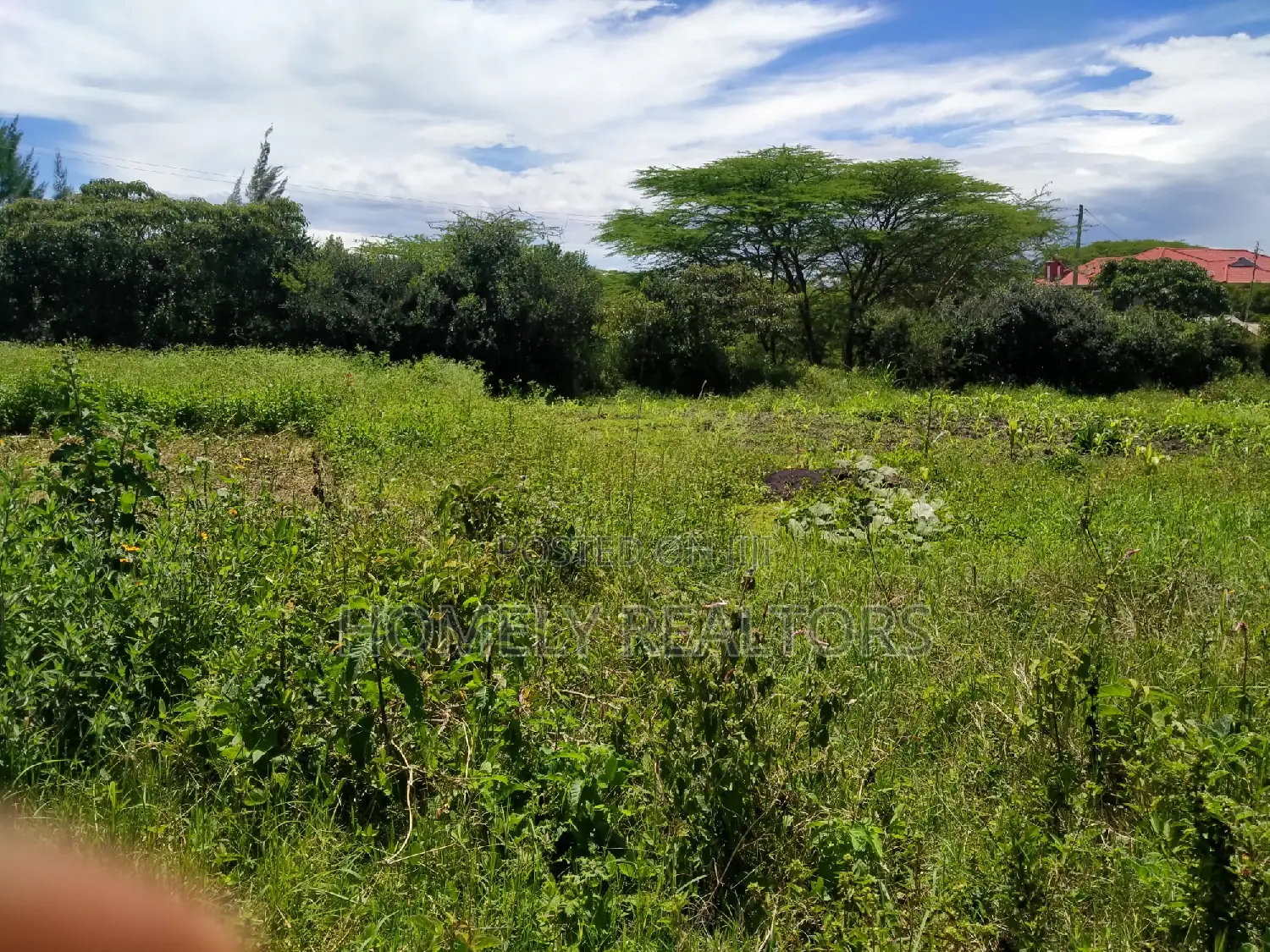 Half an Acre in Ongata Rongai, Rimpa Near the Tarmac