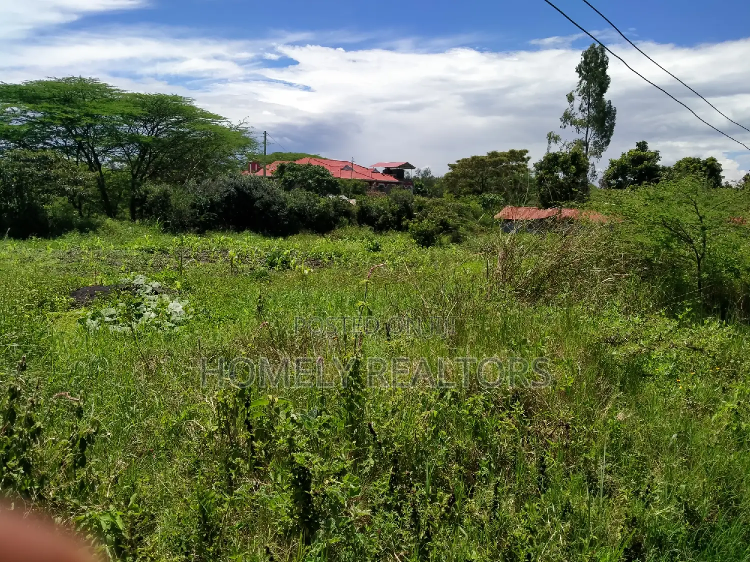 Half an Acre in Ongata Rongai, Rimpa Near the Tarmac