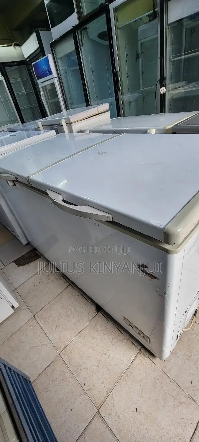 2 Doors Freezer 500l