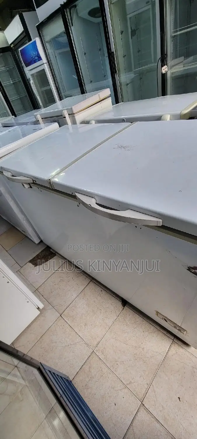 2 Doors Freezer 500l