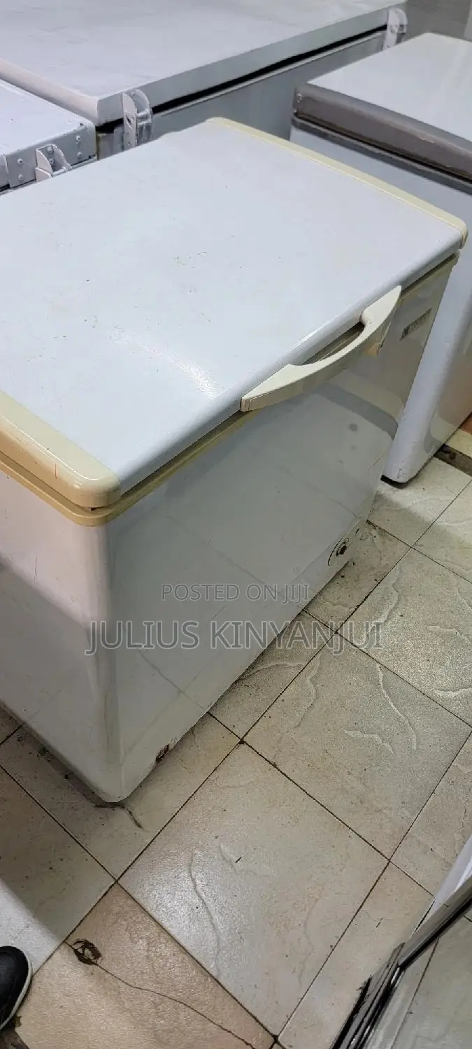 250L Deep Freezer