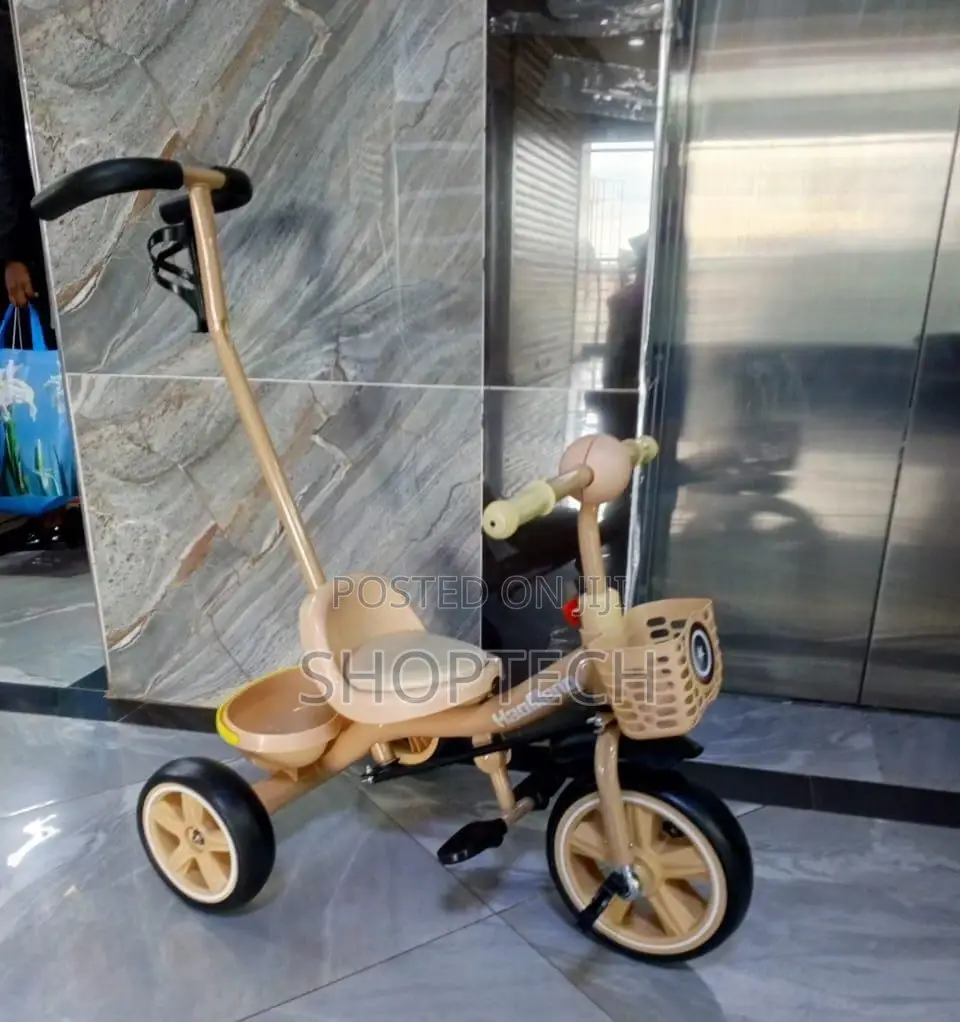 Tricycle With Push Handle