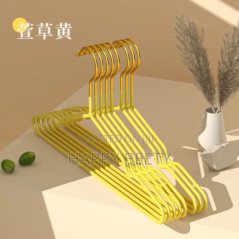 10pcs Cloth Hangers