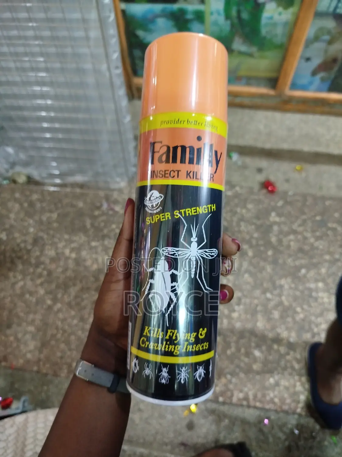 Family Insect Killer
