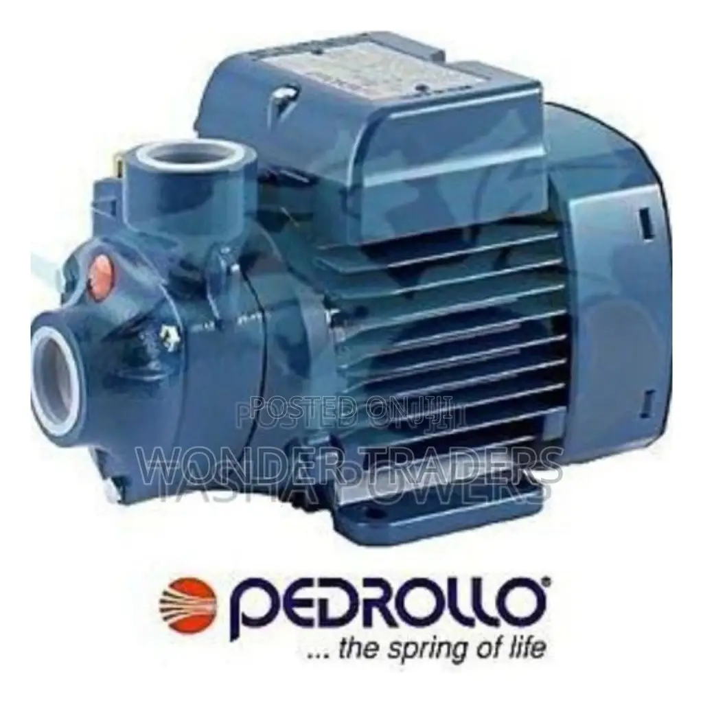 Pedrollo Booster PKM 60 Water Pump