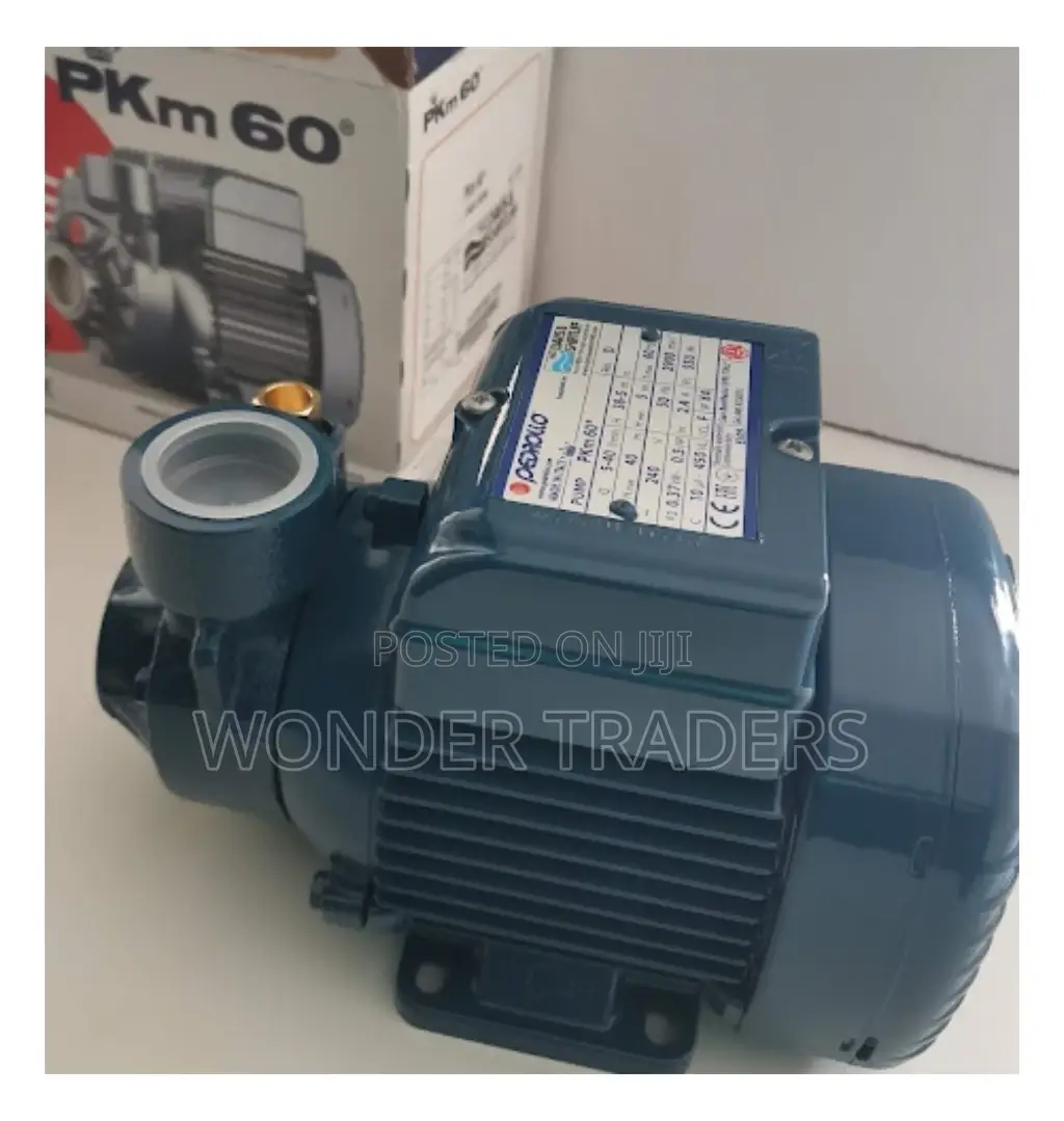 Pedrollo Water Pump 0.5 Hp40 M Head 40 L/Min