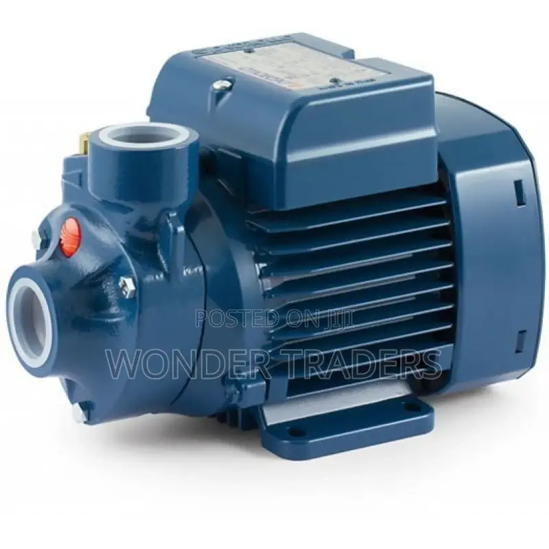 Pedrollo High Pressure Water Pump