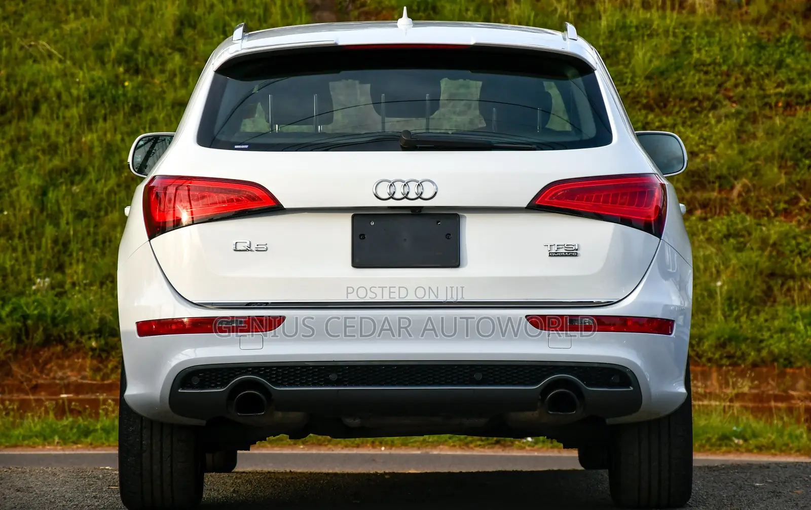 Audi Q5 2016 Pearl