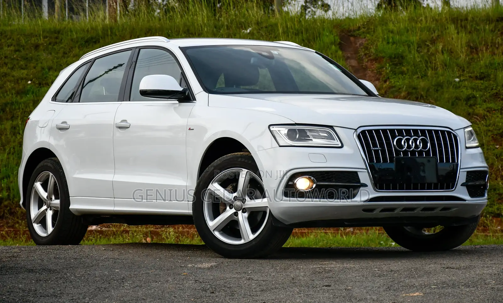 Audi Q5 2016 Pearl