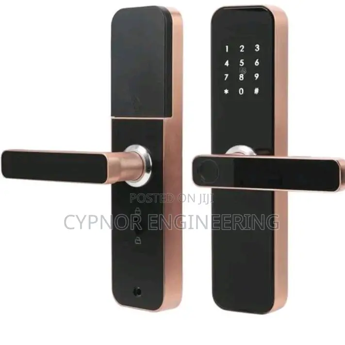 Biometric Innovation Enhanced Wifi Door Lock With RFID Card