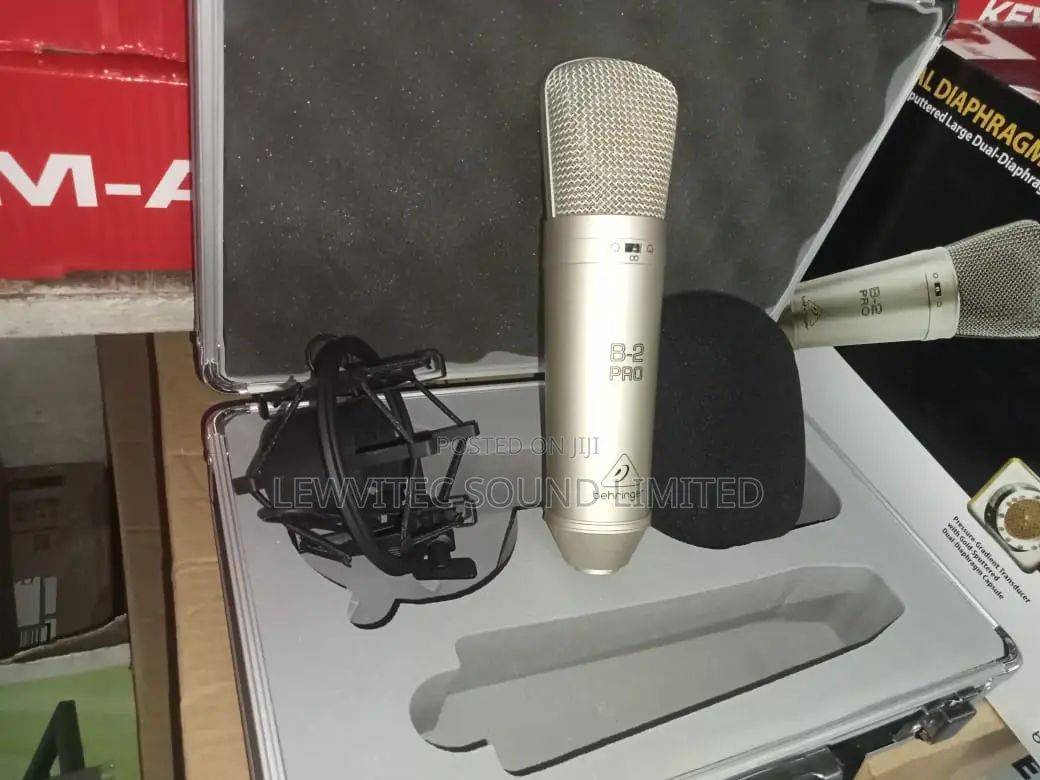 Berhinger B2 Pro Condenser Microphone