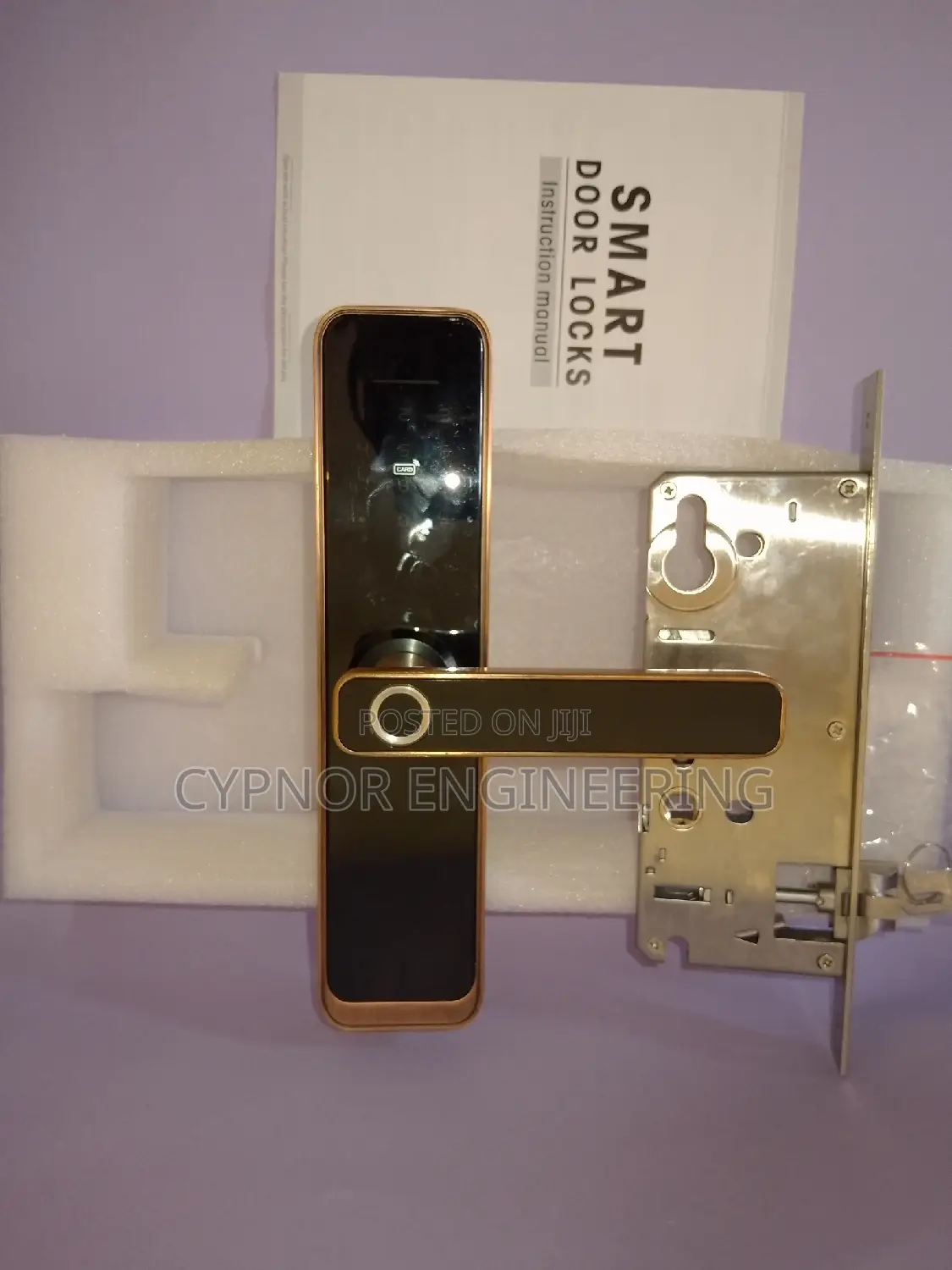 Key-Free Smart Biometric Locks for Main Gate