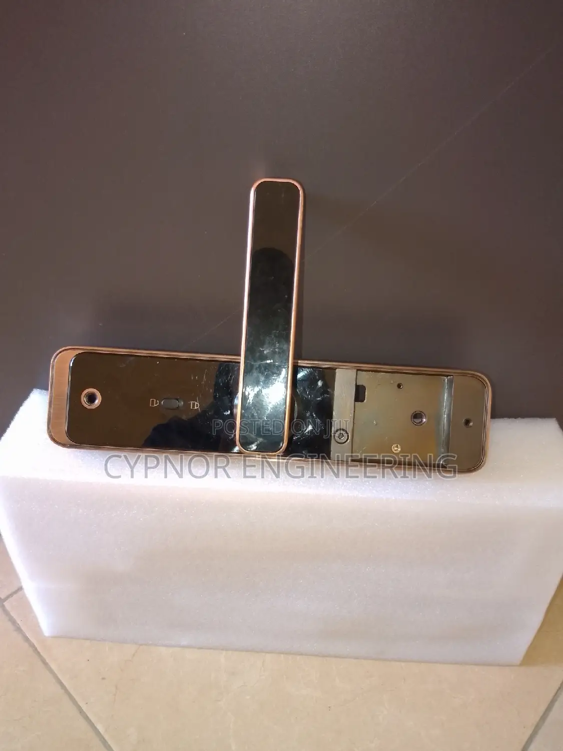 Biometric Excellence:Wooden Door Security Smart Tuya Lock