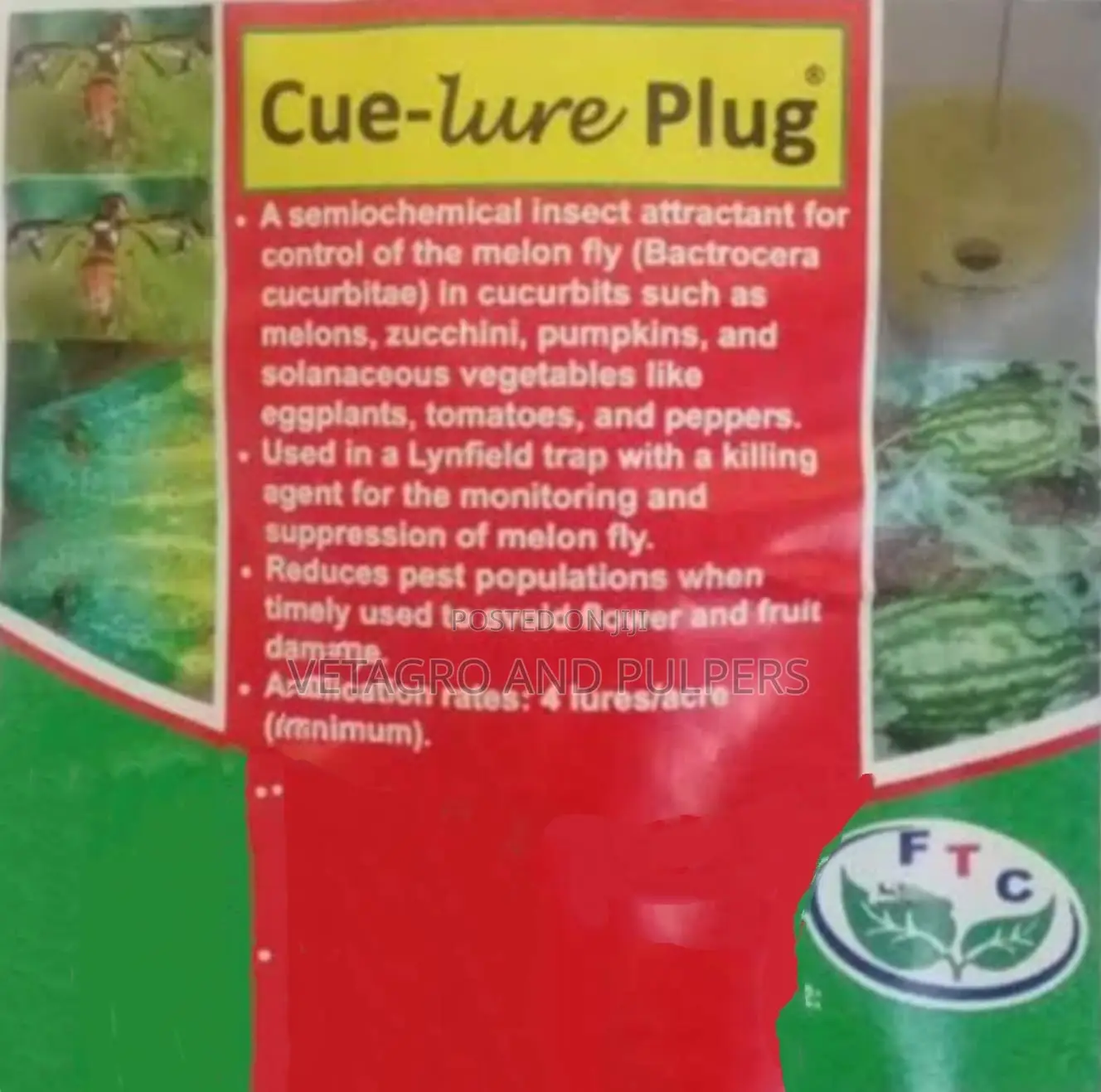 Curelure Plug With Lynfield Trap