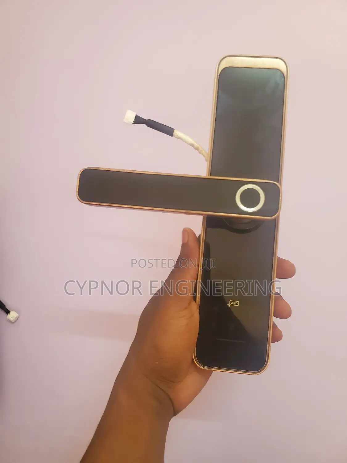 Smart Hospitality Airbnbs Biometric Smart Locks