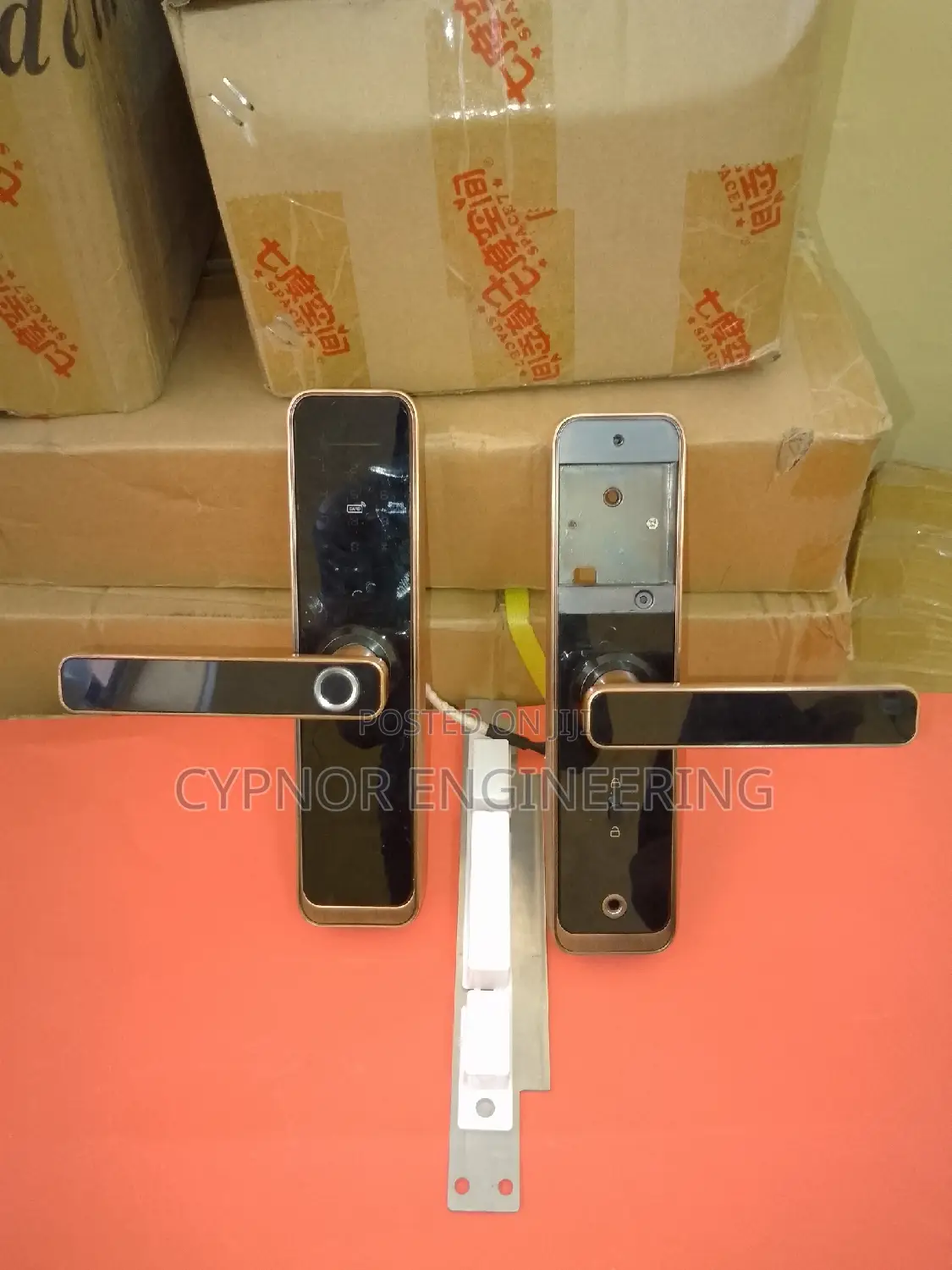 Advanced Topsec Security Access Remote Controlled Smart Lock