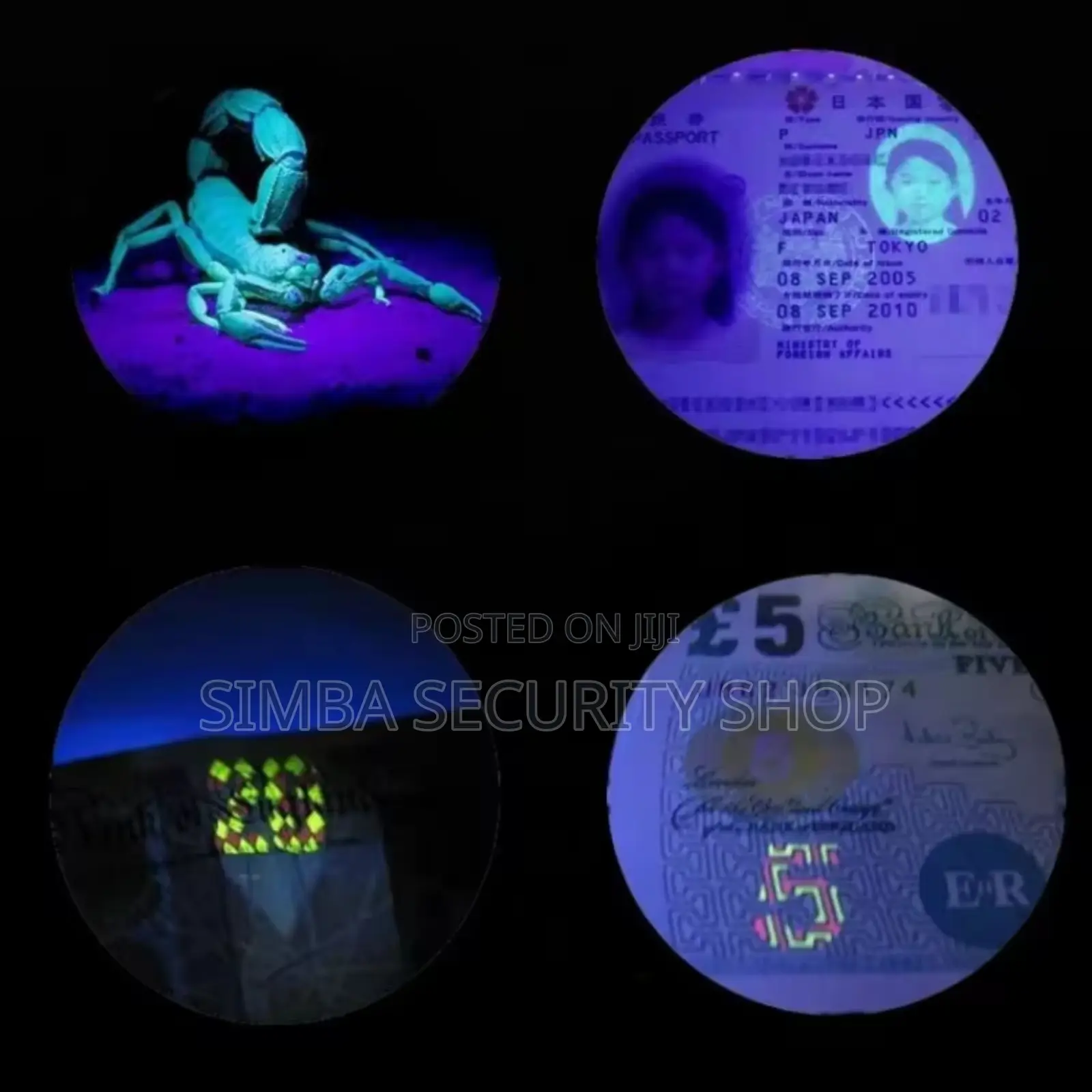 Ultraviolet Key Chain Holder Ring UV Torch Light Pendant