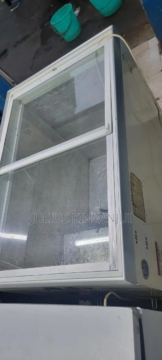 300L Display Freezer