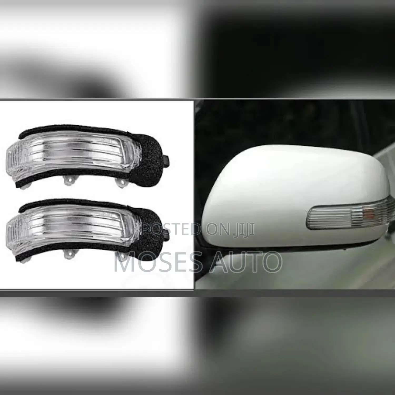 Axio 2006-2010 Side Mirror Indicator Light