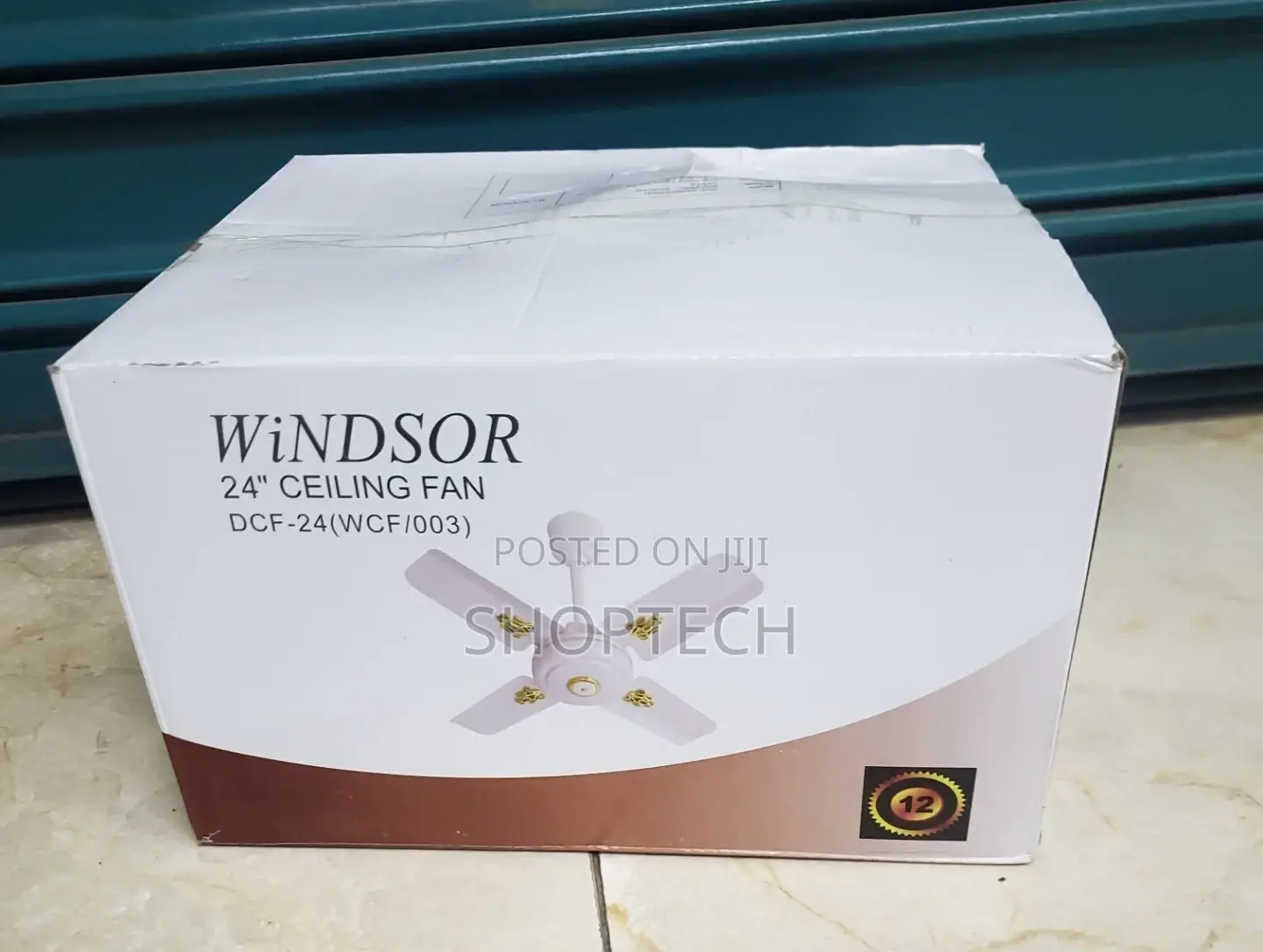 Windsor 24 Inches Ceiling Fan