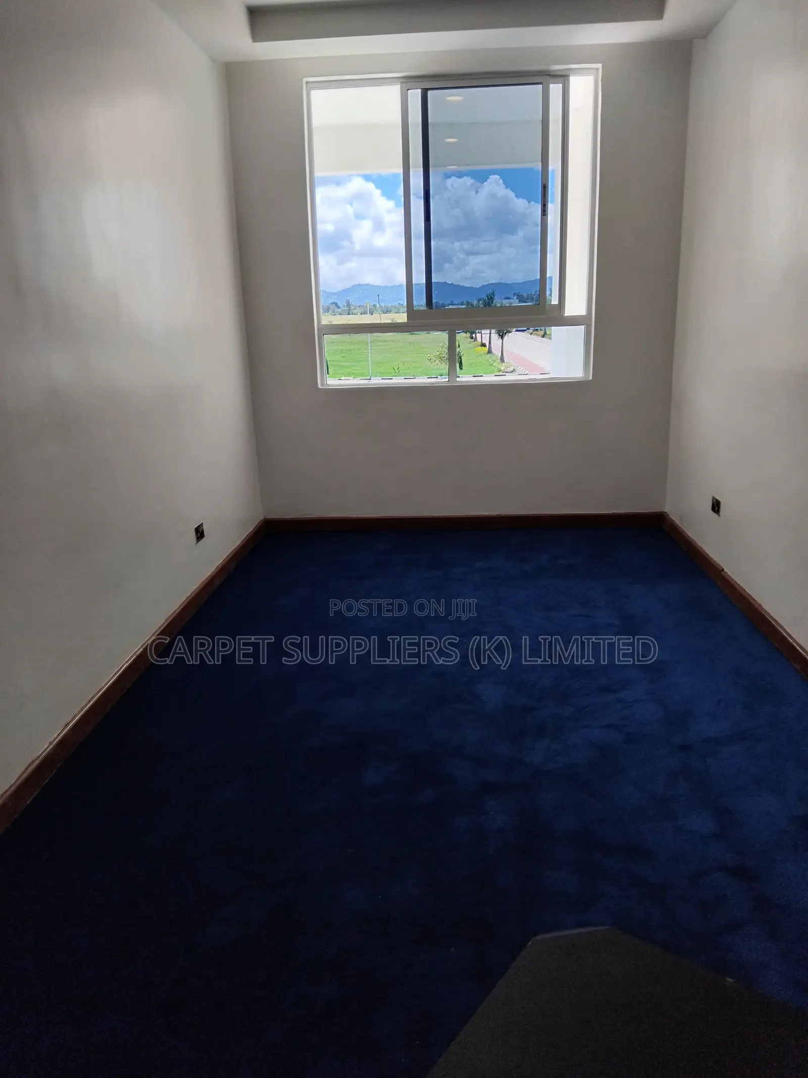 Blue Carpets