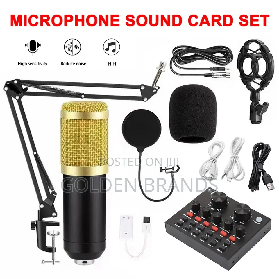 Original Full V8 Sound Card + BM800 Microphone Studio
