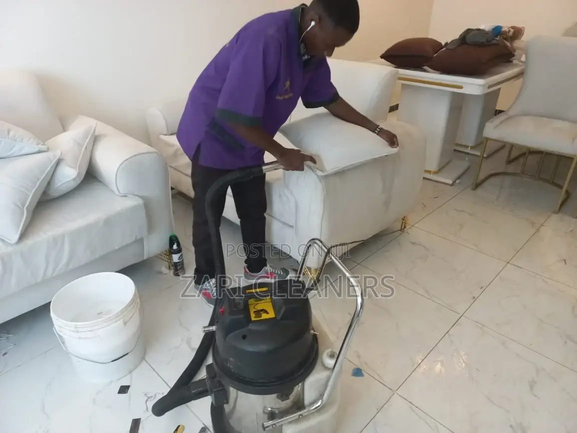 Professional Couch and Upholstery Cleaning Services