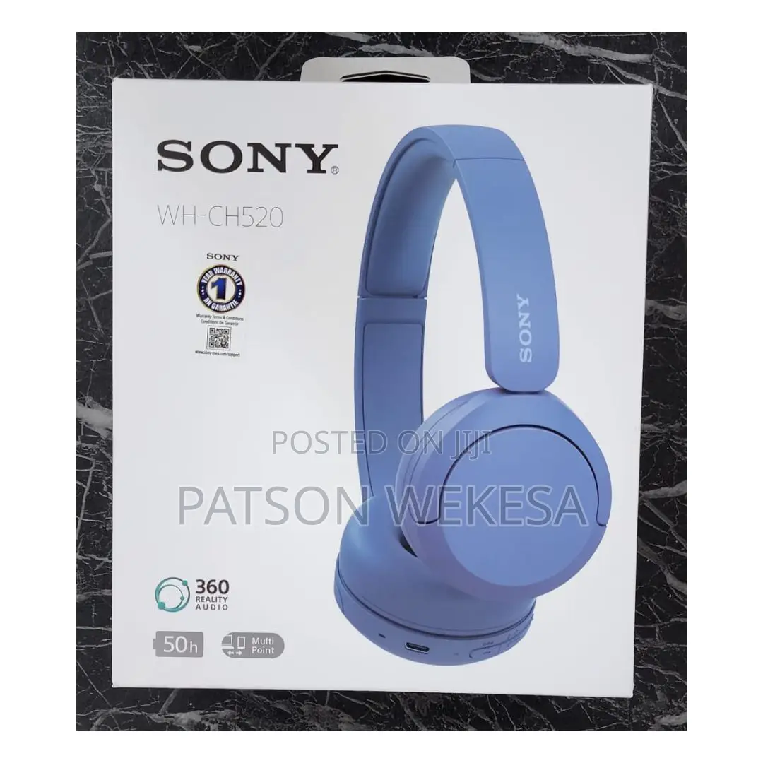 Wh-Ch520 Wireless Headphones With Microphone