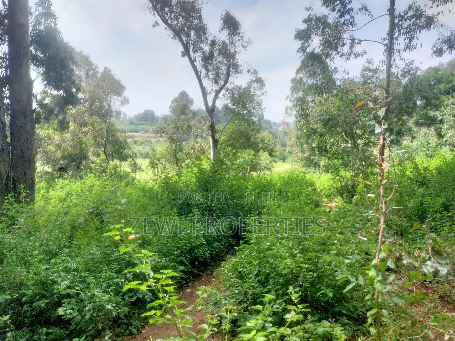 6 Acre's Karen