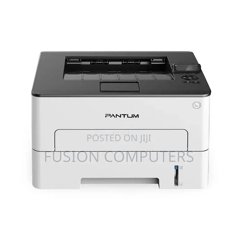 Pantum P3010DW Mono Laser Single Function Printer