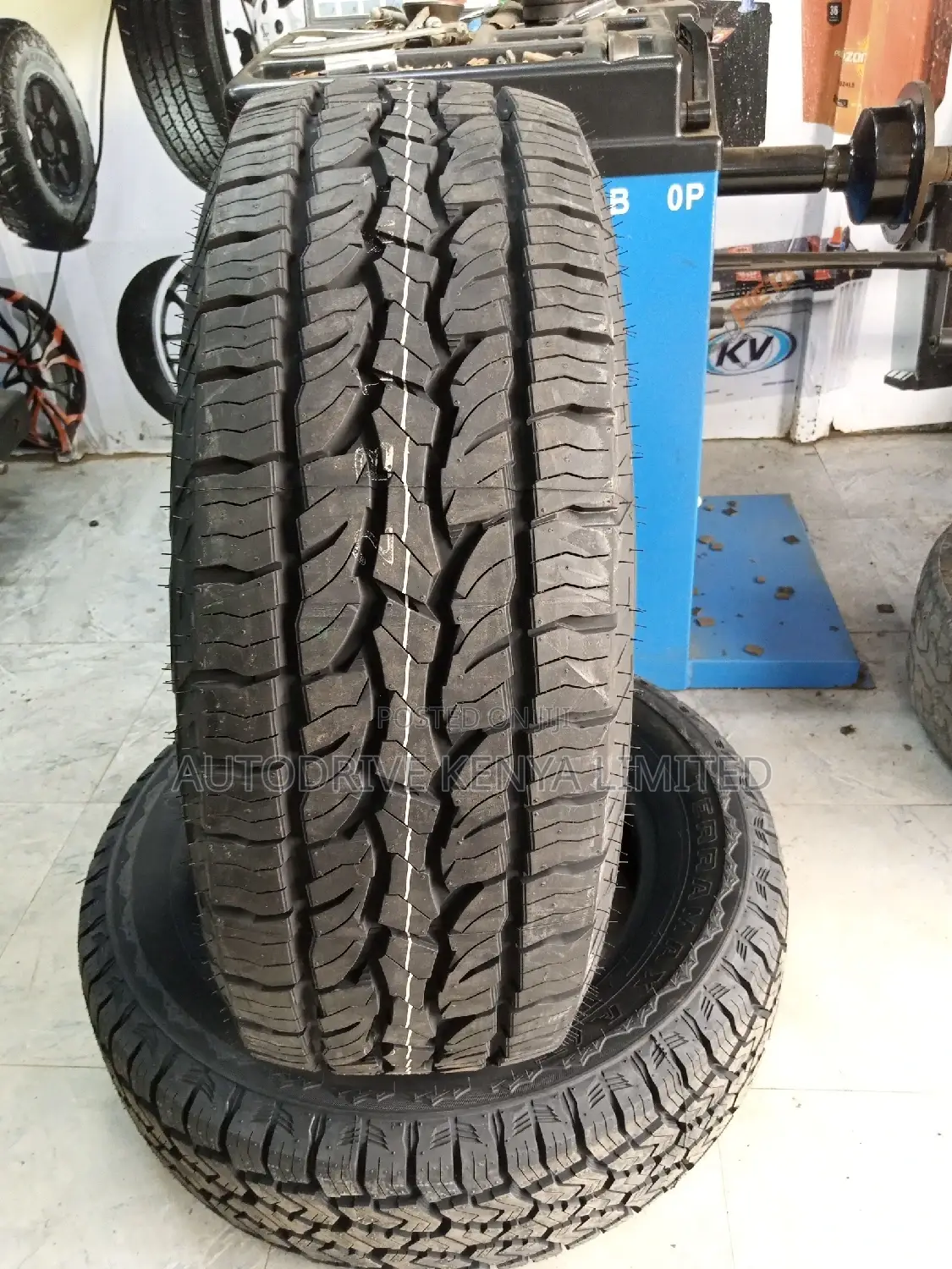 265/65r17 Dunlop All-Terrain Tire