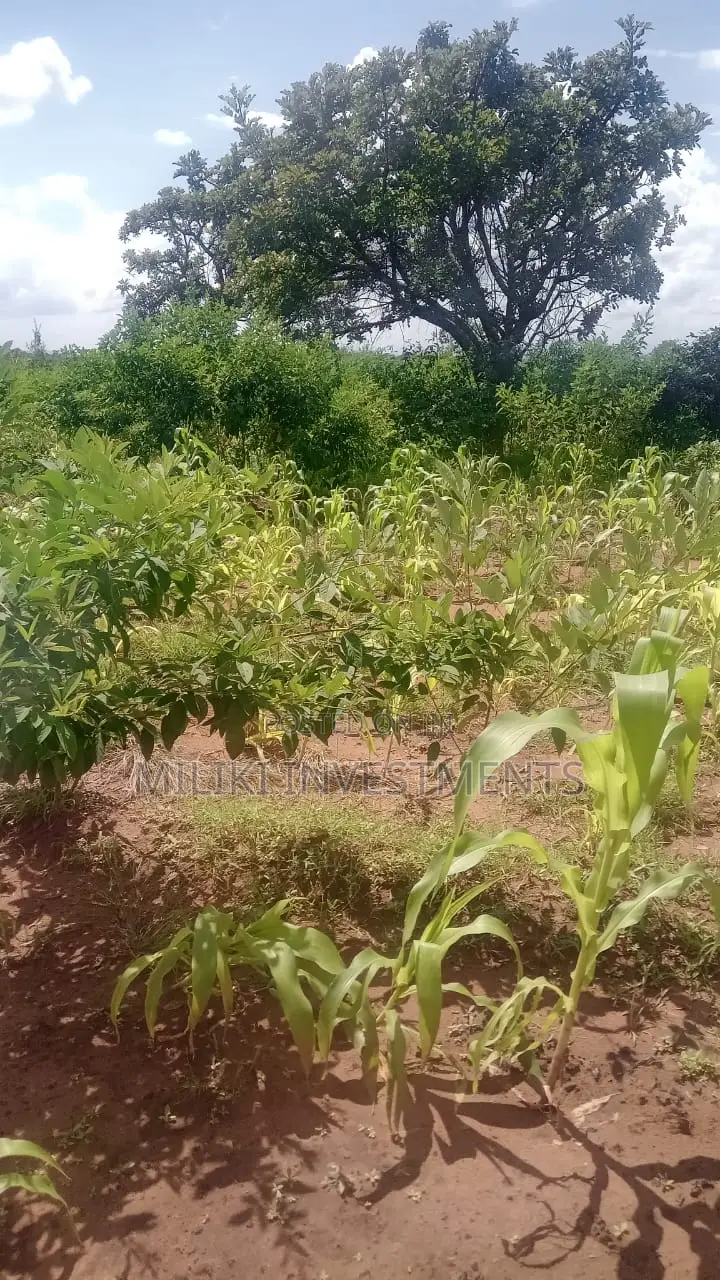 An Acre on Sale at Manaja