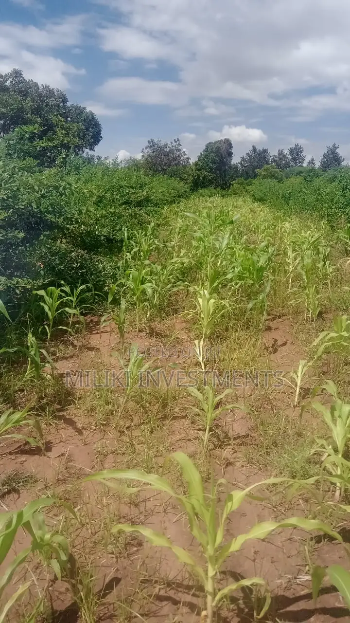 An Acre on Sale at Manaja