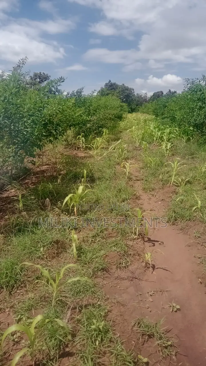 An Acre on Sale at Manaja