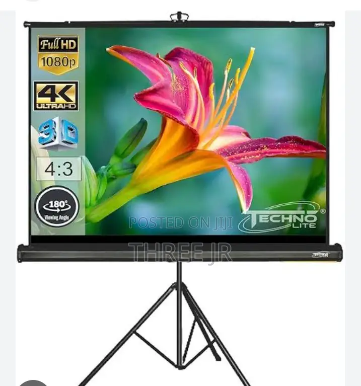 Nice Great Use of Portable Projection Screens