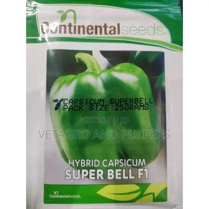 Continental Hybrid Capsicum Super Bell F1 (Hoho)
