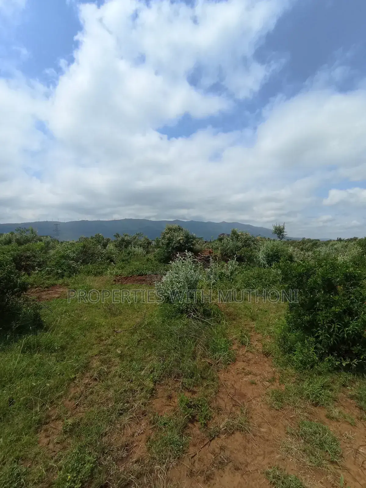 Plot for Sale in Kimuka,Ngong.