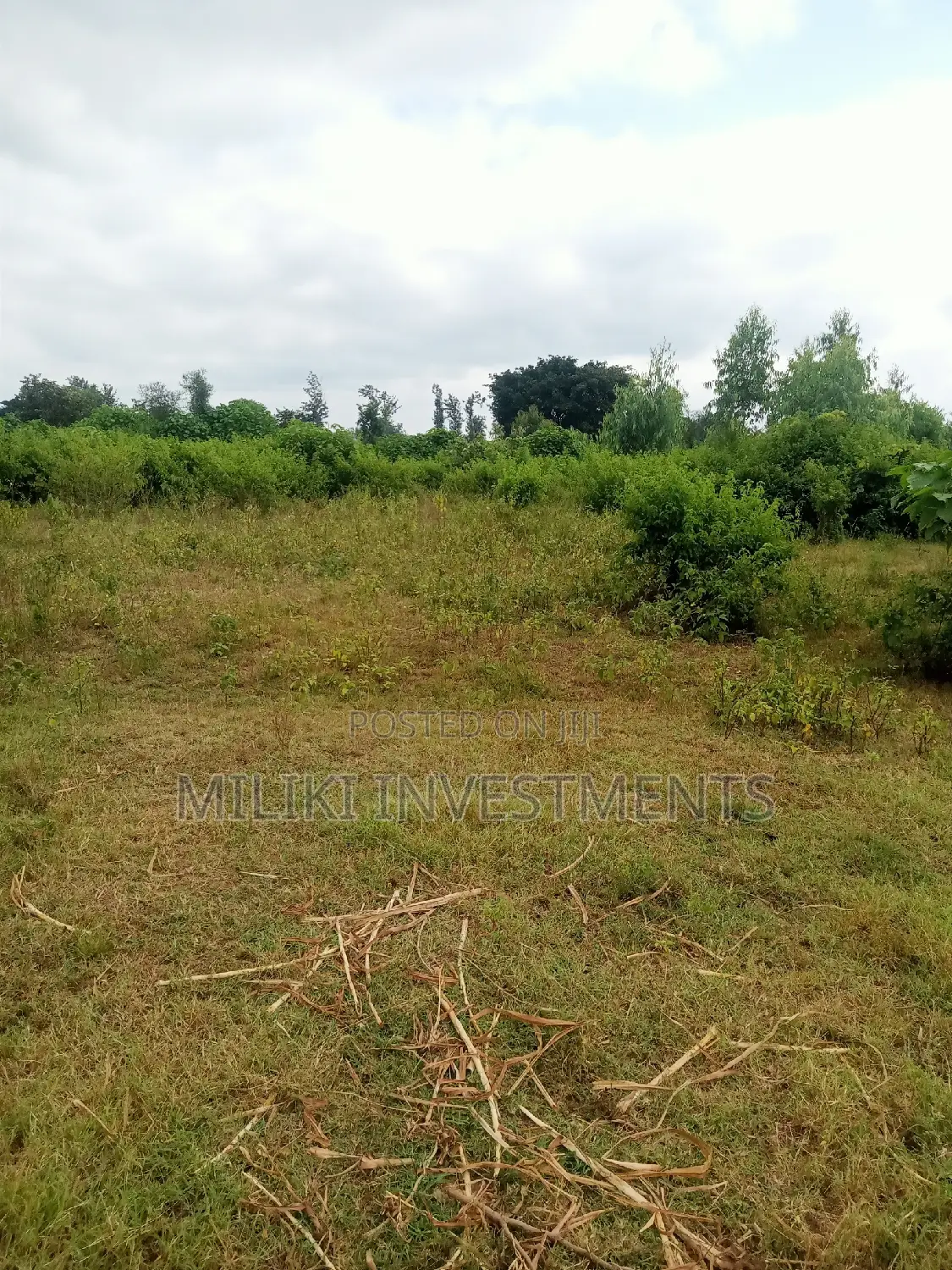 2 Acres of Land on Sale at Makutano