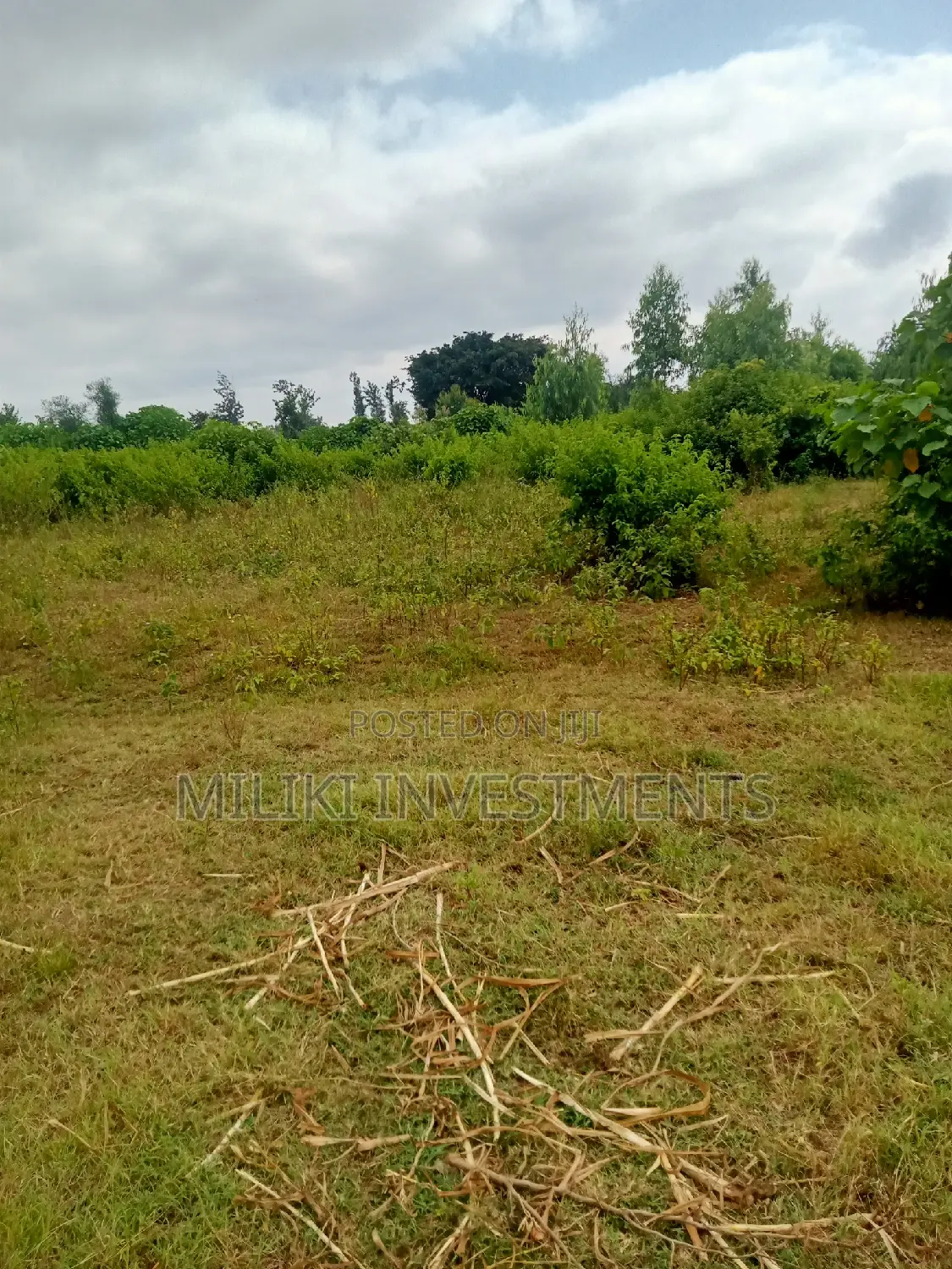 2 Acres of Land on Sale at Makutano