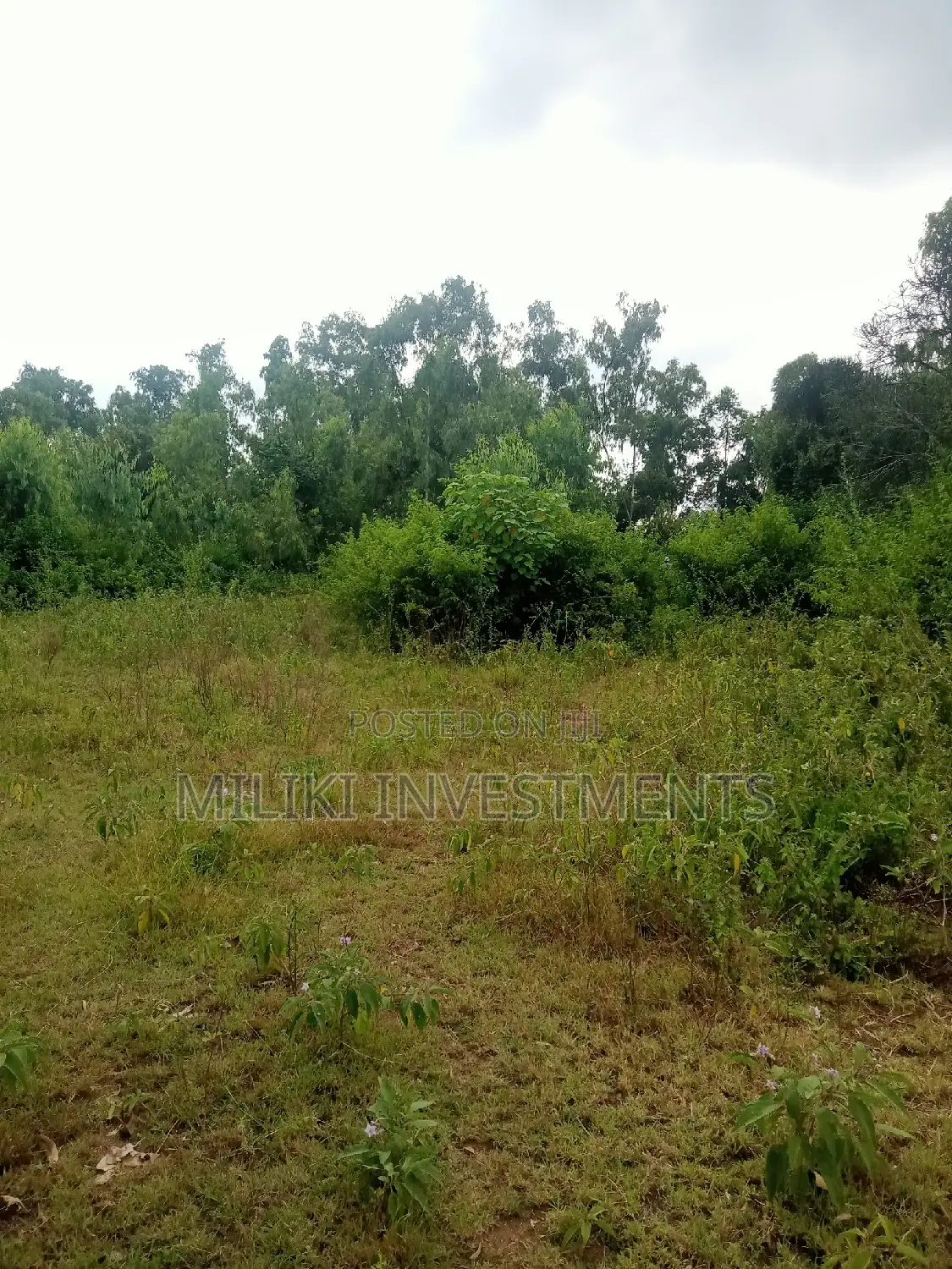 2 Acres of Land on Sale at Makutano
