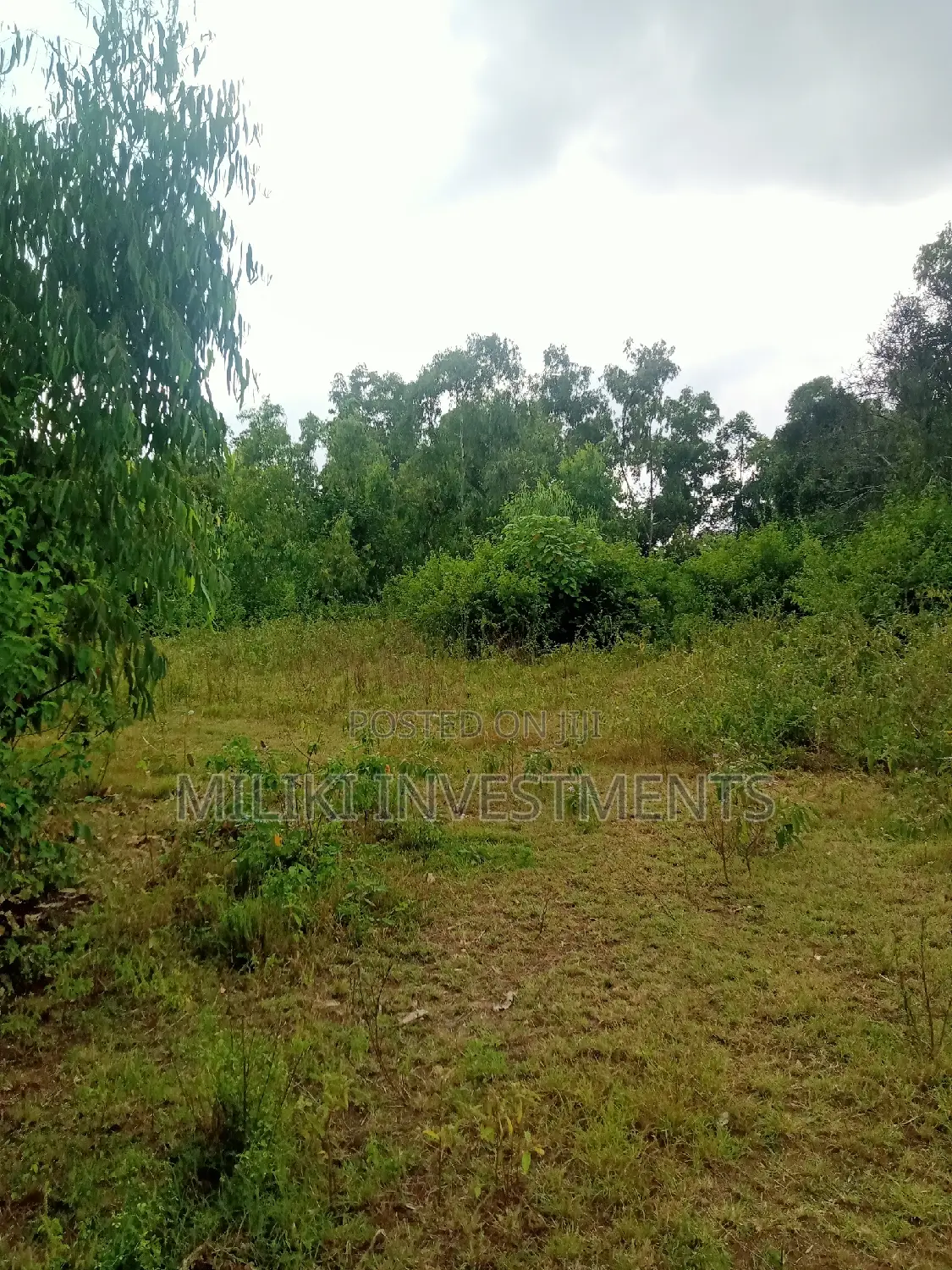 2 Acres of Land on Sale at Makutano