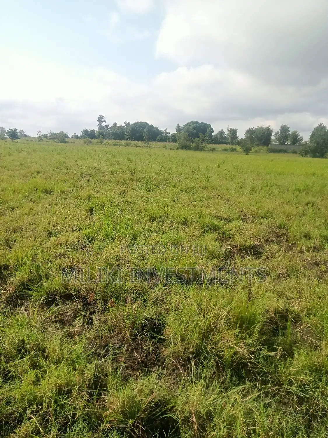 2 Acres of Land on Sale at Makutano