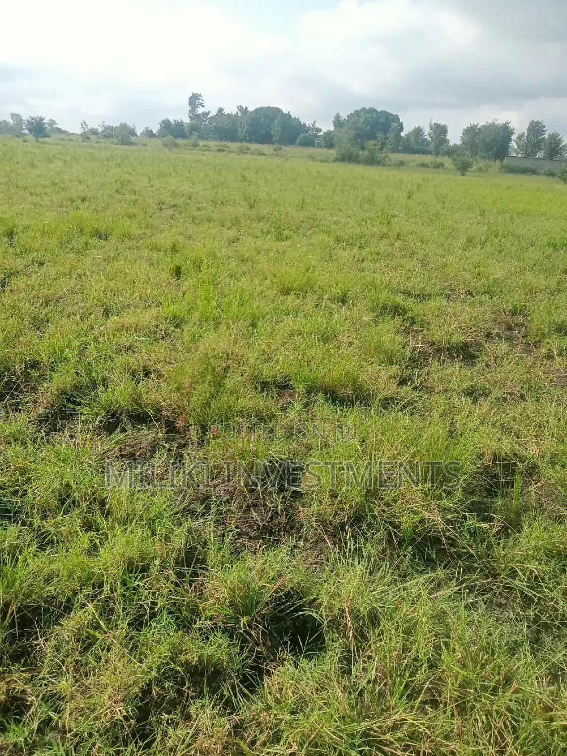 2 Acres of Land on Sale at Makutano